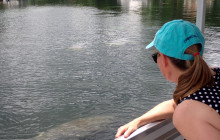 SeaDaddy's Dive Center6