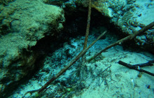 SeaDaddy's Dive Center8