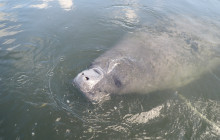 SeaDaddy's Dive Center8