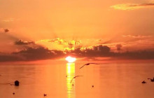 SeaDaddy's Dive Center10