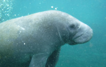 SeaDaddy's Dive Center13