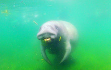SeaDaddy's Dive Center11
