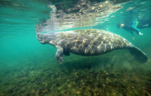 SeaDaddy's Dive Center12