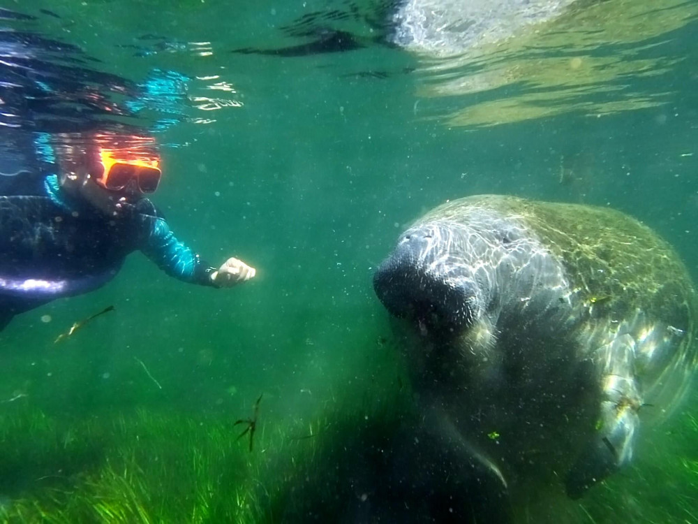 SeaDaddy's Dive Center