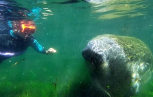 SeaDaddy's Dive Center14