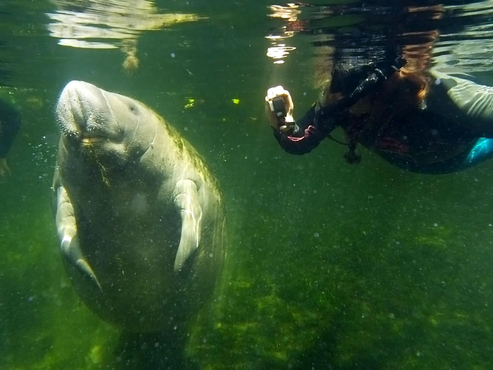 SeaDaddy's Dive Center