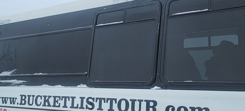 Bison Highway Road Tour