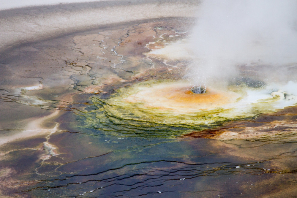 Private Full-Day Custom Yellowstone Tour with Hiking from West Entrance