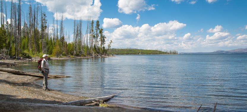 Full-Day Private Yellowstone Wildlife & Geology Tour from Jackson Hole