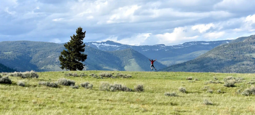Full-Day Private Yellowstone Wildlife & Hiking Tour from Paradise Valley