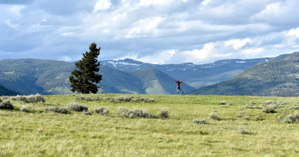 Full-Day Private Yellowstone Wildlife & Hiking Tour from Paradise Valley