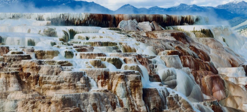 Full-Day Private Yellowstone Wildlife & Hiking Tour from Paradise Valley