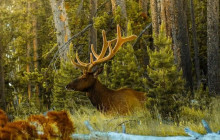 Good Trip Adventures - Rocky Mountains4