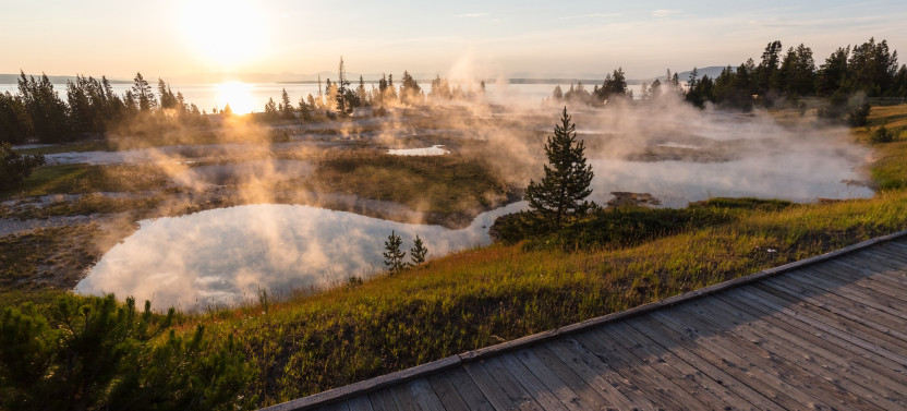 Full-Day Private Yellowstone Wildlife & Geothermal Tour with Park Pickup