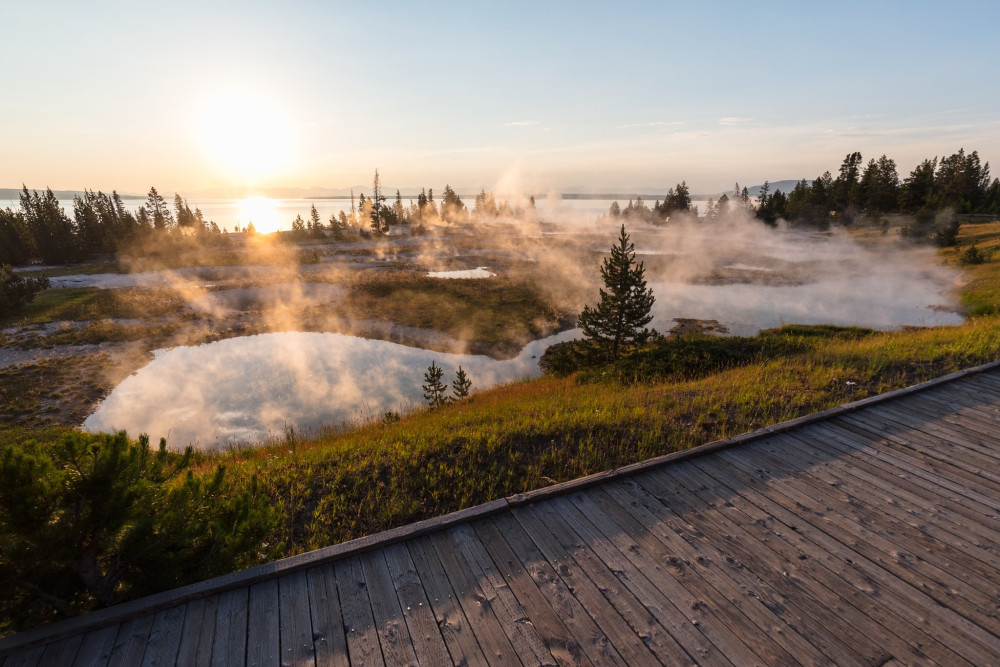 Full-Day Private Yellowstone Wildlife & Geothermal Tour with Park Pickup