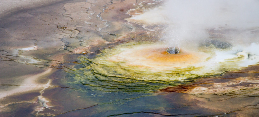 Full-Day Private Yellowstone Wildlife & Geothermal Tour with Park Pickup