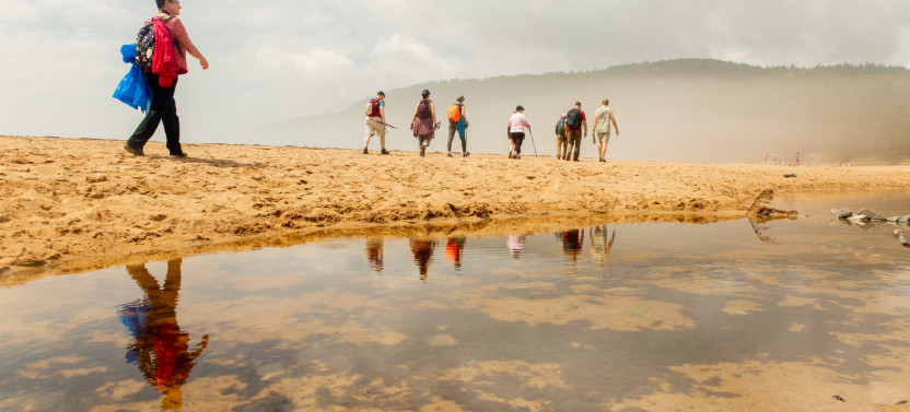5 Day Camping, Hiking & Paddling Adventure in Acadia National Park