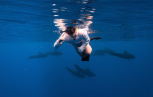 Wild Side Specialty Tours1