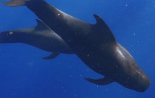 Wild Side Specialty Tours3