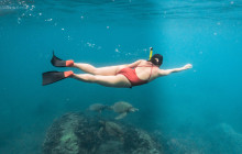 Wild Side Specialty Tours2