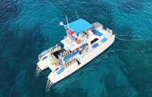 Wild Side Specialty Tours8