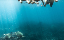 Wild Side Specialty Tours5