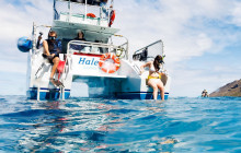 Wild Side Specialty Tours6