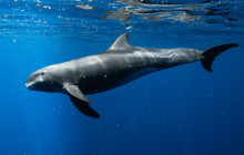 Wild Side Specialty Tours7