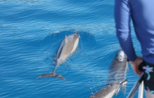 Wild Side Specialty Tours9