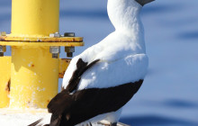 Wild Side Specialty Tours18