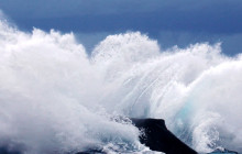 Wild Side Specialty Tours12