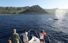 Wild Side Specialty Tours6