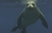 Wild Side Specialty Tours10