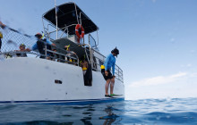 Wild Side Specialty Tours11