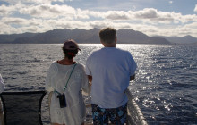 Wild Side Specialty Tours13