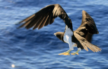 Wild Side Specialty Tours15