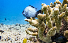 Wild Side Specialty Tours16