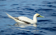 Wild Side Specialty Tours17