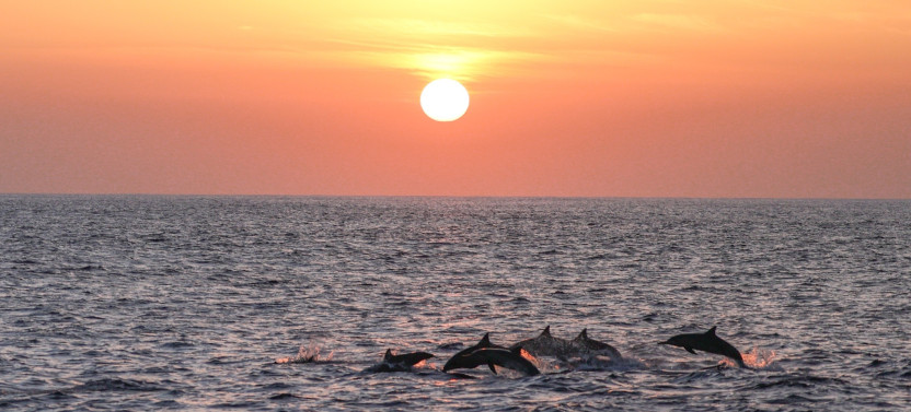 Snorkel into Sunset Sail - Spring and Summer Months