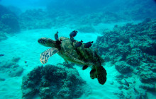 Wild Side Specialty Tours4