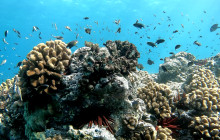 Wild Side Specialty Tours6