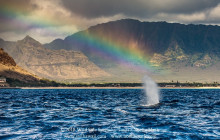 Wild Side Specialty Tours16