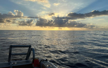 Wild Side Specialty Tours6