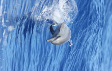 Wild Side Specialty Tours18