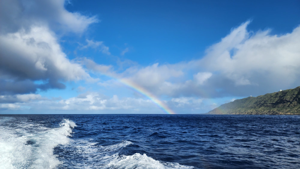 Wild Side Specialty Tours