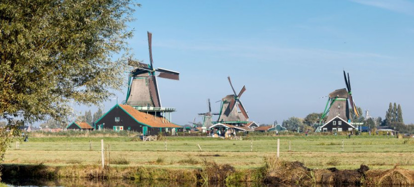 Zaanse Schans Windmill Village with Cheese Tasting & Clog Factory