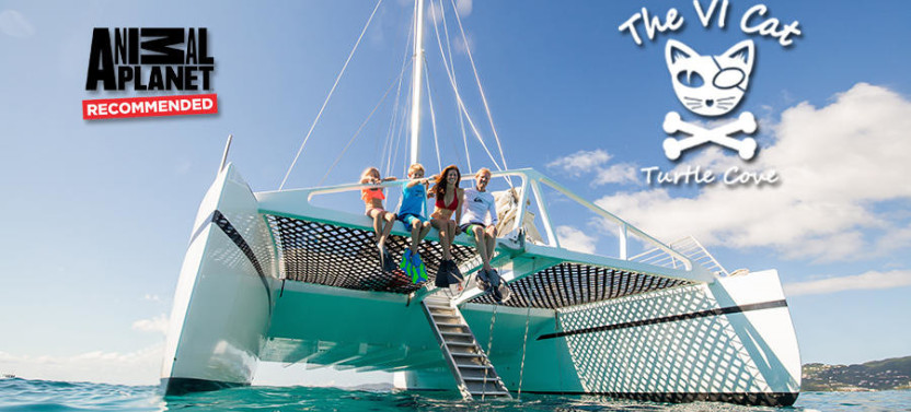 Catamaran Sailing & Snorkeling Tour to Turtle Cove Marine Refuge