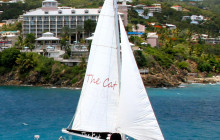 The VI Cat1