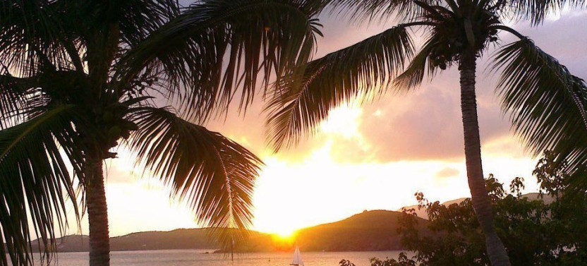 Evening Sail with Sunset, Harbor Lights & Themed Dinner