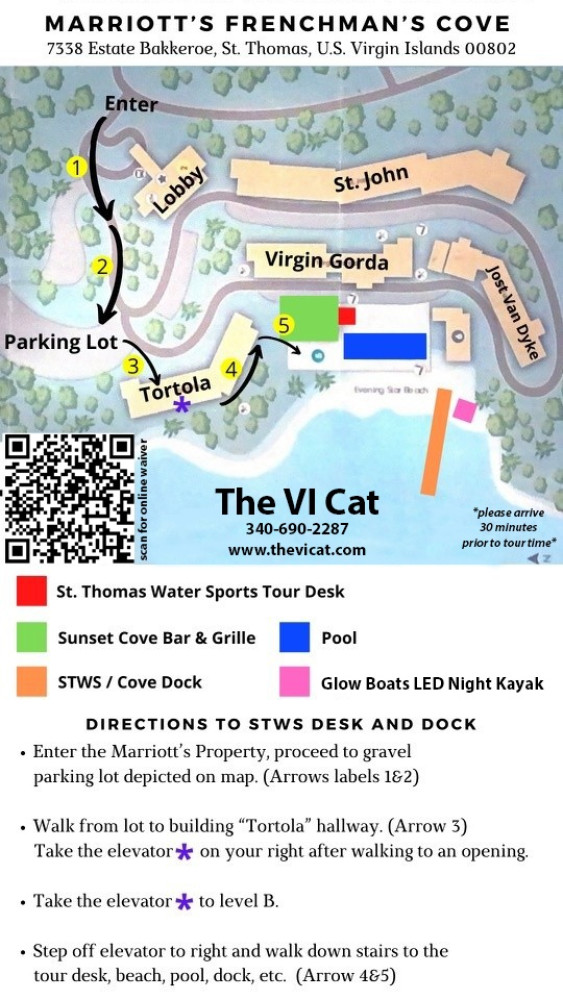 The VI Cat